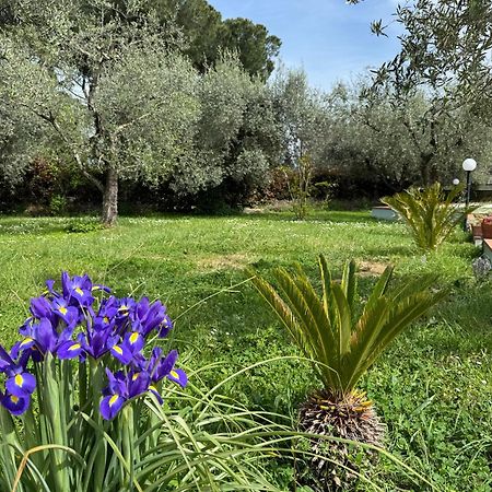 Willa La Piccola Provenza Fiano Romano Zewnętrze zdjęcie