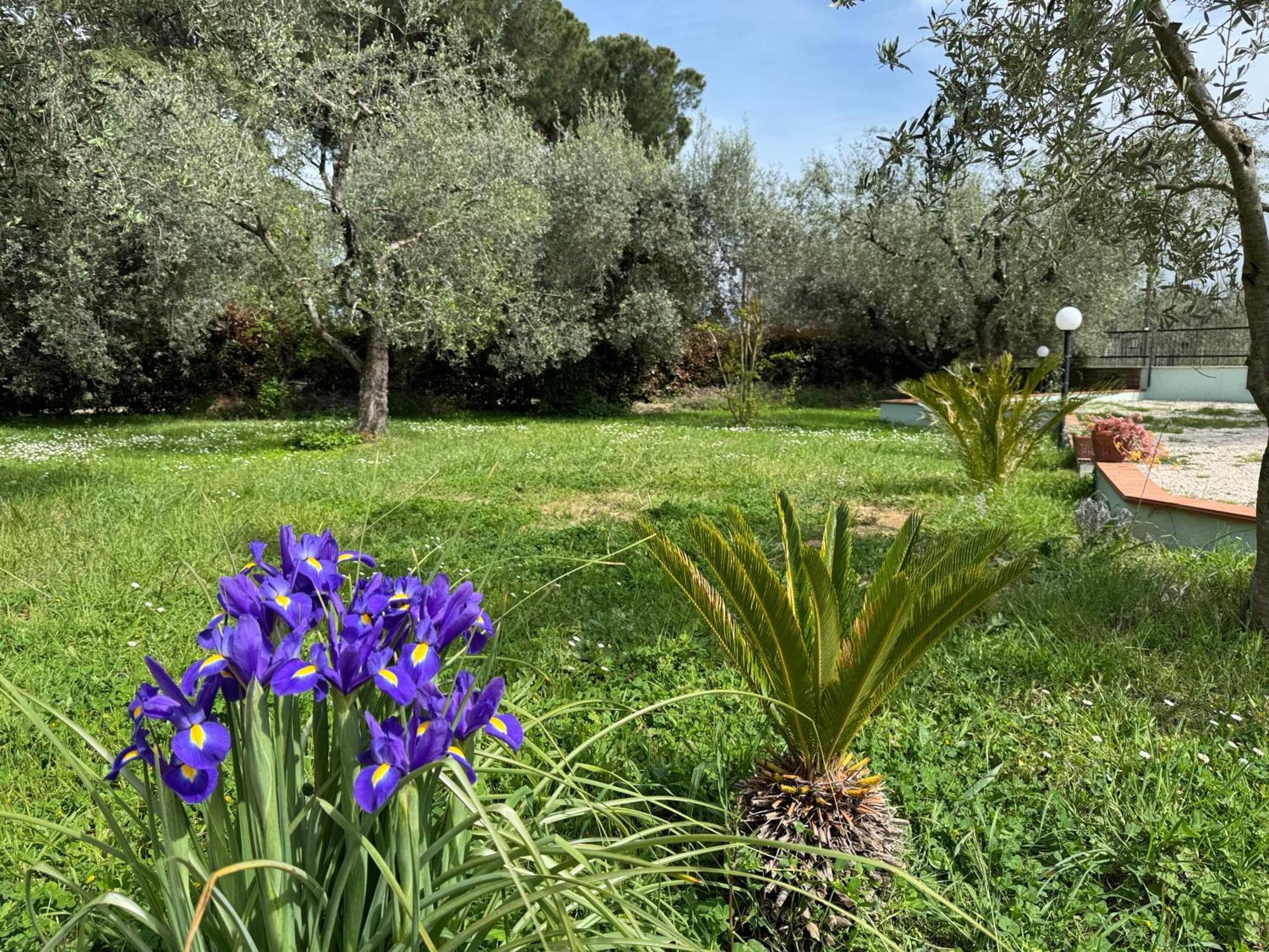 Willa La Piccola Provenza Fiano Romano Zewnętrze zdjęcie